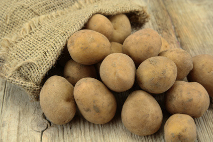 agria Kartoffel