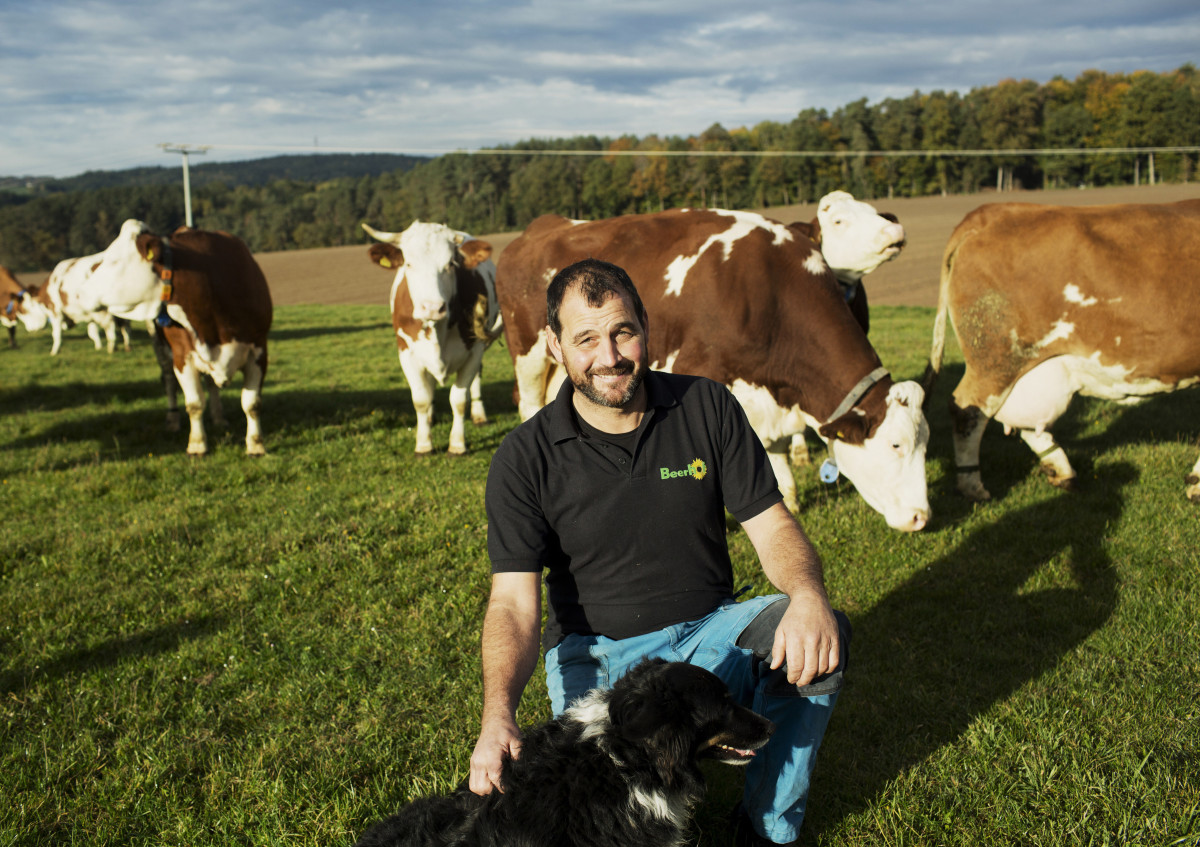 Naturlandbauer Michael Beer bei seinen Milchkühen