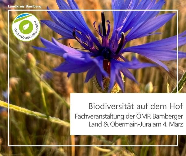 Kornblume im Feld, dazu Schriftzug: Biofiversität auf dem Hof, Fachveranstaltung der ÖMR Bamberger Land und Obermain-Jura am 04.03.2024 in Oberhaid