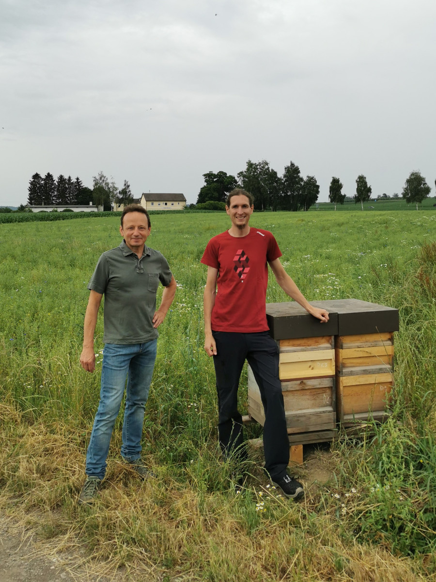 Das Foto zeigt zwei Männer vor einem Feld neben Bienen-Kästen.