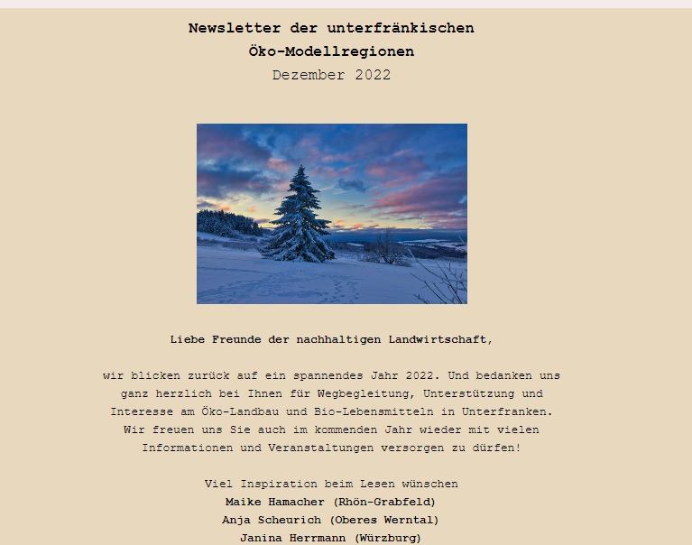 Screenshoot Newsletter Dezember 2022