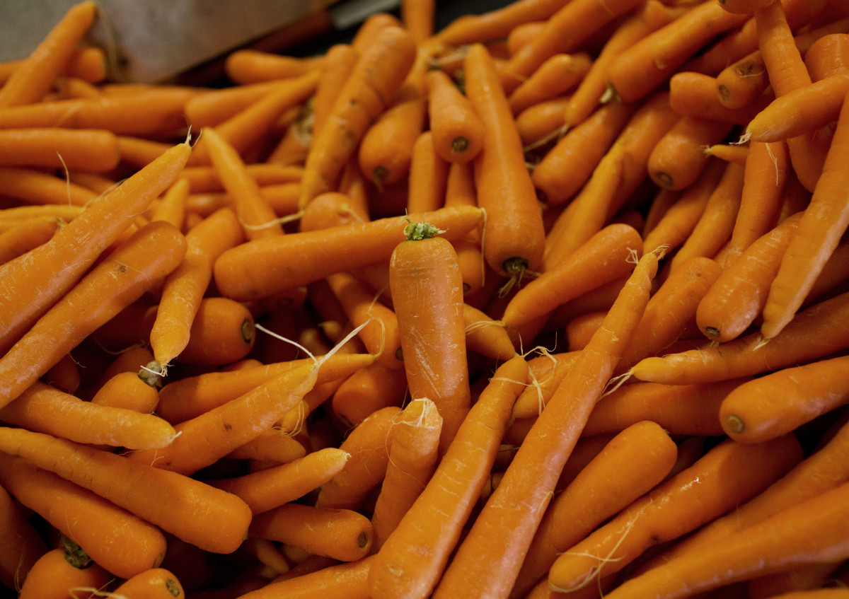 Ein Berg an reifen Karotten