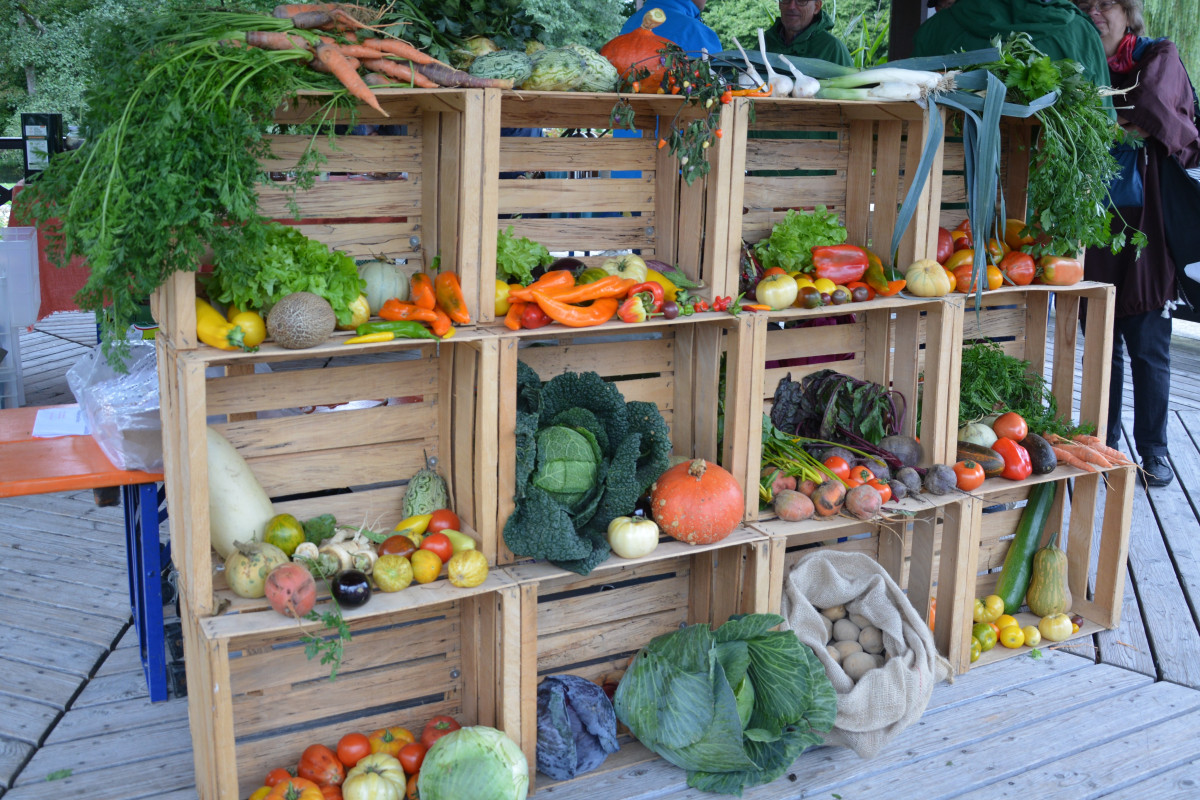 Das Foto zeigt mehrere Holzkisten, die mit Gemüse gefüllt sind.