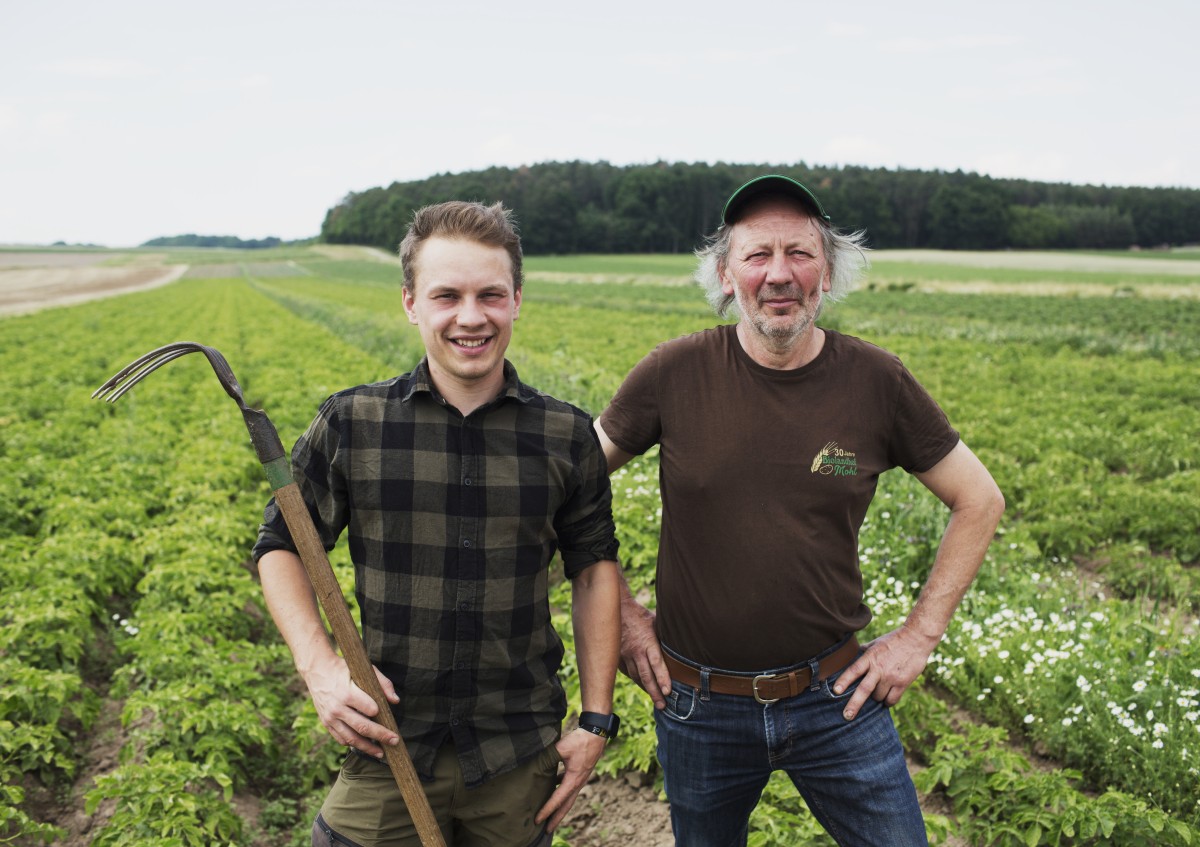 Hans-Jürgen und Mario Mohl stehen in einem Kartoffelacker im vollen grünen Wachstum